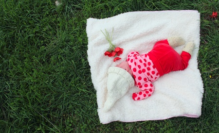 month-old girl lying on white blanket next to the red poppiesの写真素材