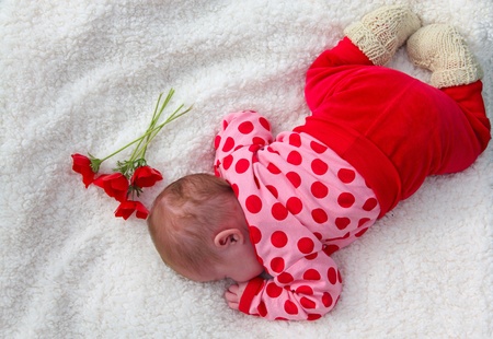month-old girl lying on white blanket next to the red poppiesの写真素材