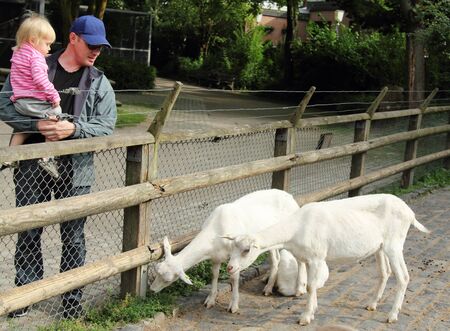Father with daughter in the zooの写真素材