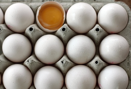 Lots of eggs close up 