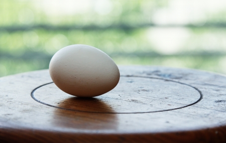Single egg on wooden tableの写真素材