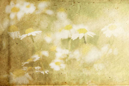 textured paper with flowerの写真素材