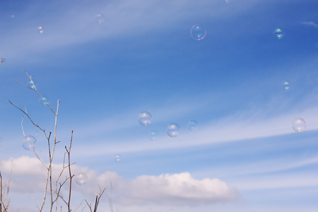 Soap bubbles floating in the airの写真素材