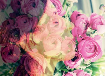Double exposure portrait of woman combined with photograph of pink flowersの写真素材