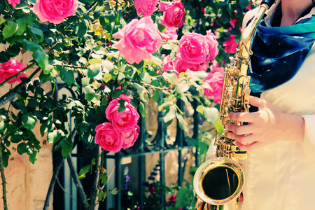 Saxophonist playing on saxophone on pink roses backgroundの写真素材