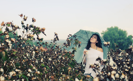 beautiful woman holding umbrella and standing in cotton fieldの写真素材