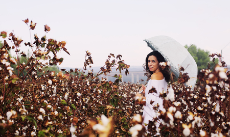 beautiful woman holding umbrella and standing in cotton fieldの写真素材