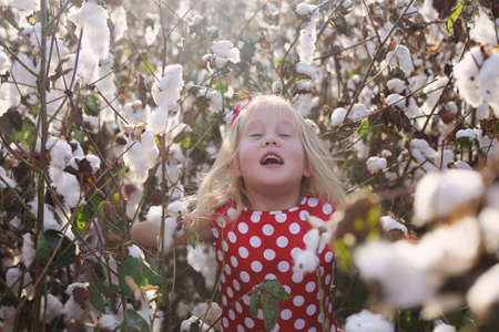 5 years old girl standing in cotton fieldの写真素材