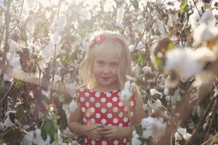 5 years old girl standing in cotton fieldの写真素材