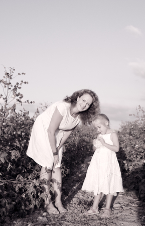 happy mother with daughter standing on a cotton field in sunset colorsの写真素材