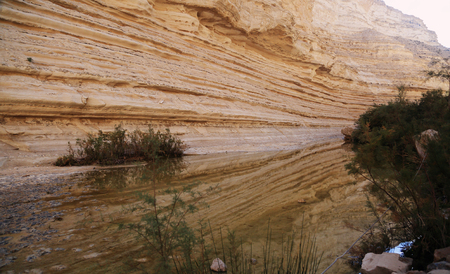 Desert Landscapeの写真素材