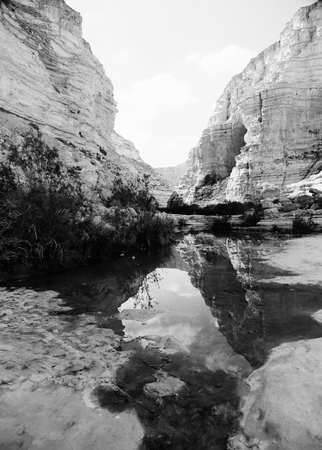 Desert Landscapeの写真素材