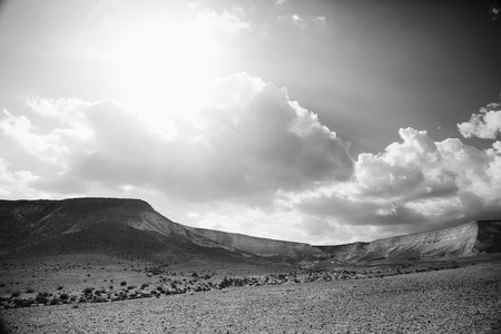 Desert Landscapeの写真素材