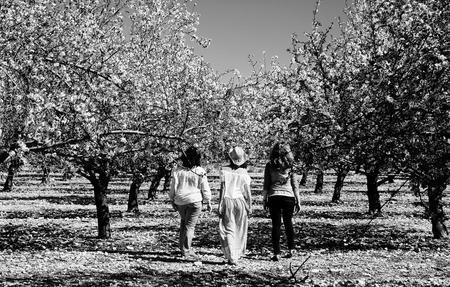 three best friends walking in the gardenの写真素材
