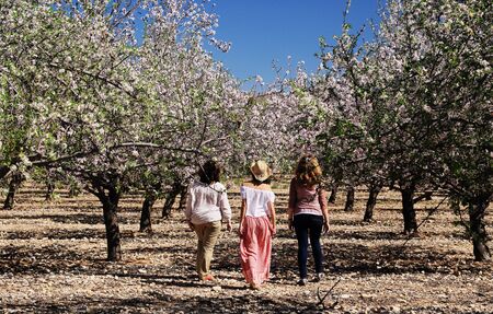 three best friends walking in the gardenの写真素材