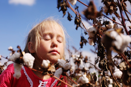 Portrait of a adorable little girl outdoors in the cotton fieldの写真素材