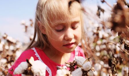 Portrait of a adorable little girl outdoors in the cotton fieldの写真素材