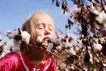 Portrait of a adorable little girl outdoors in the cotton fieldの写真素材