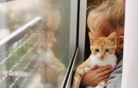 Portrait of a adorable little girl with red kittenの写真素材
