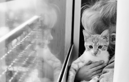 Portrait of a adorable little girl with red kittenの写真素材