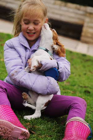 7 year old girl is walking with a puppy in the parkの写真素材