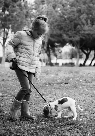 7 year old girl is walking with a puppy in the parkの写真素材