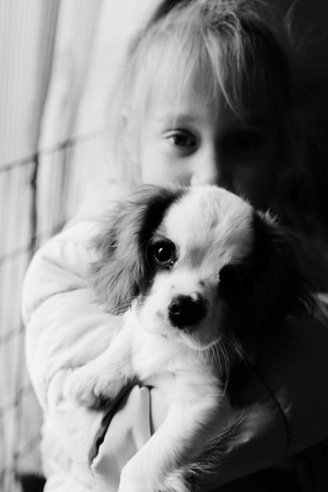 7 years olf girl holding cute puppyの写真素材