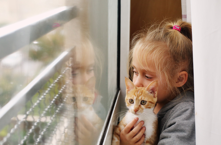 Portrait of a adorable little girl with red kittenの写真素材