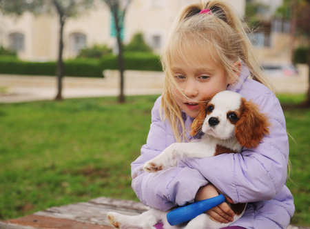 7 year old girl is walking with a puppy in the parkの写真素材