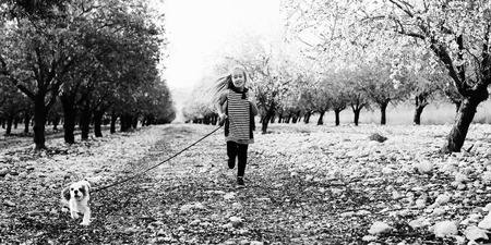 7 year old girl is walking with a puppy in the parkの写真素材