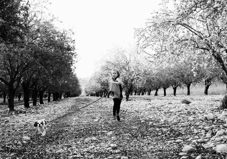 7 year old girl is walking with a puppy in the parkの写真素材