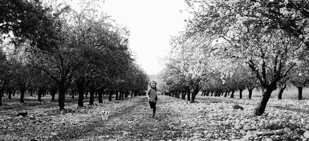7 year old girl is walking with a puppy in the parkの写真素材
