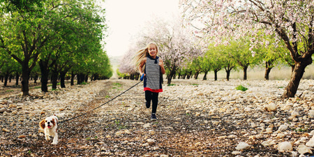 7 year old girl is walking with a puppy in the parkの写真素材