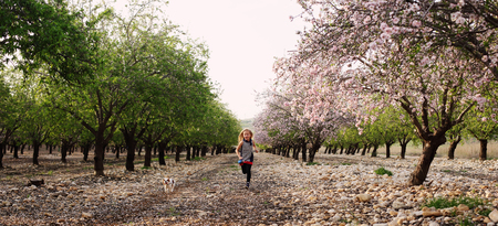 7 year old girl is walking with a puppy in the parkの写真素材