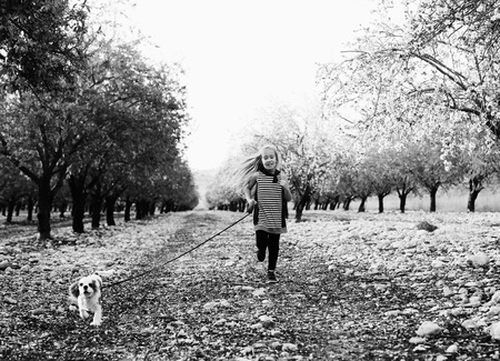 7 year old girl is walking with a puppy in the parkの写真素材