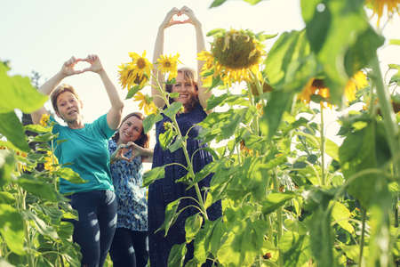 Portrait of happy mature women  enjoying of freedom in the sunflowers fieldの写真素材