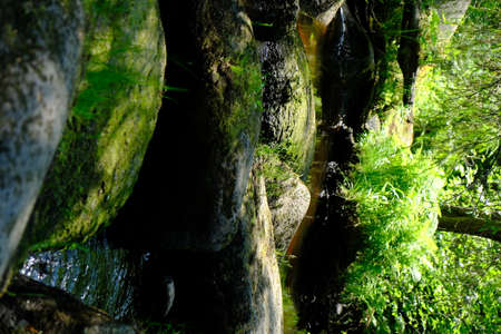 mountain river, stones covered with green mossの写真素材