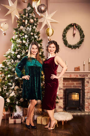 Two beautiful women in eternal dresses have arranged a party for the occasion of the New Year or Christmas in a beautiful room decorated with a Christmas tree and garlands and gifts near the fireplaceの写真素材