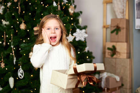 The girl stands in a room with a green Christmas tree and holds a gift, the girl received a gift for Christmas and happy, the girl looks into the cameraの写真素材