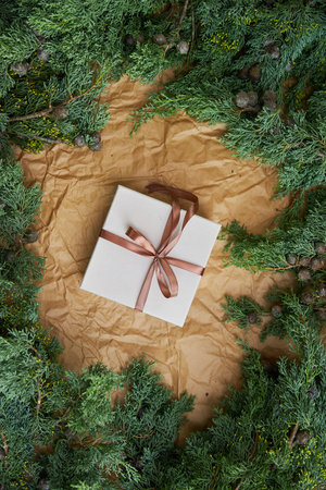 Christmas white gift with empty space for text framed from natural spruceの写真素材