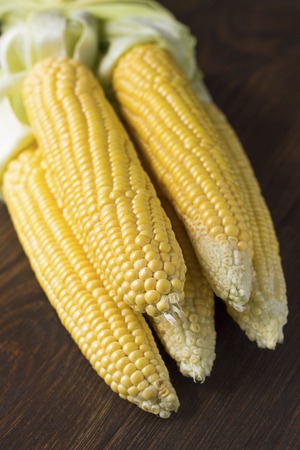 Fresh sweet corn on cobs on dark wooden table. Selective focus.