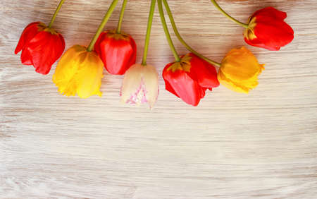 bouquet of tulips on a white wooden table background. Top view. For Mother's Day, Women's Day and wedding with copy space for textの写真素材