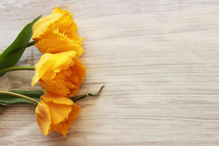 bouquet of tulips on a white wooden table background. Top view. For Mother's Day, Women's Day and wedding with copy space for textの写真素材