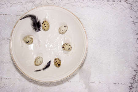 Spring easter composition with eggsの写真素材