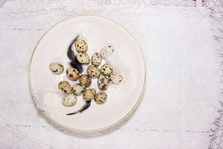 Spring easter composition with eggsの写真素材