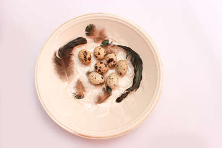 Easter table setting with eggs and nestの写真素材