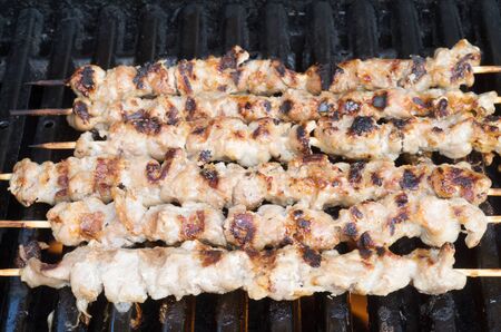 Vietnamese Porc skewers on grillの写真素材