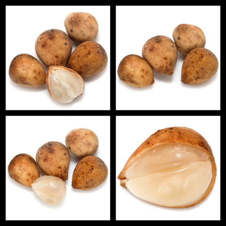 Series collage lansium demesticum fruit on white backgroundの写真素材