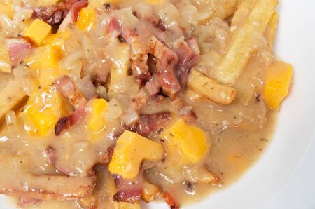 Poutine with yellow cheddar cheese and bacon bitesの写真素材