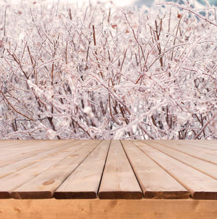 Wooden deck perspective with icy tree branches in the backgroundの写真素材